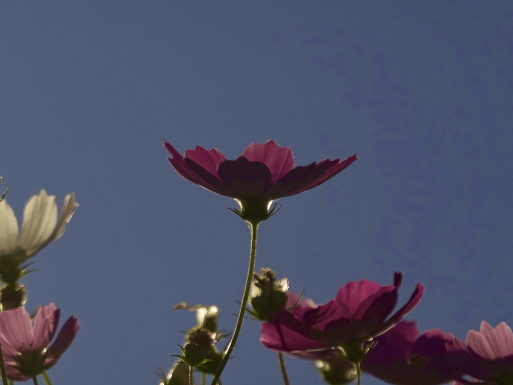 09D4081E-0ABC-4512-8EDA-9F2A9675917B