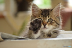 よっ！