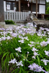 丸森町不動尊