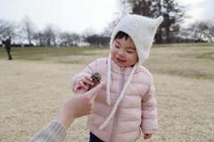 松ぼっくりとの出会い