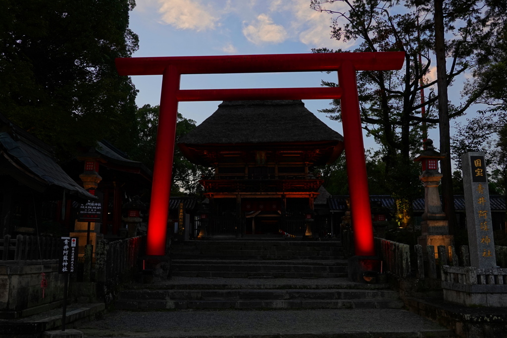 青井阿蘇神社