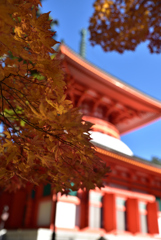 高野山秋景②