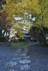 高野山秋景④