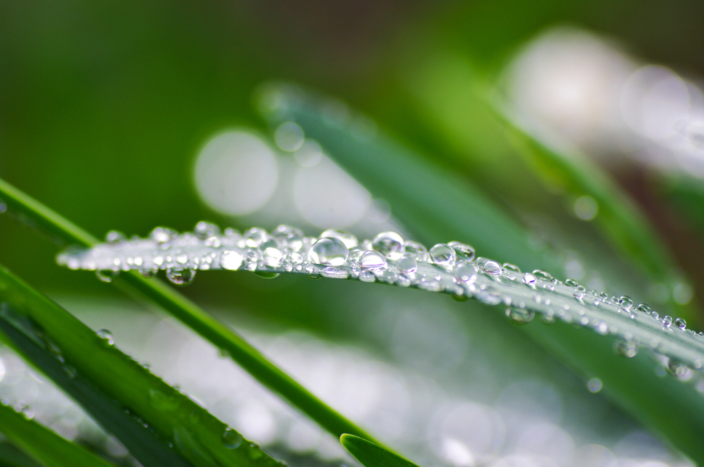 雨上がり