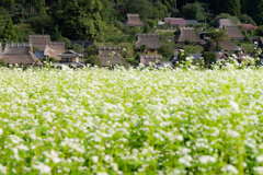 美山かやぶきの里