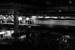 SHIBUYA