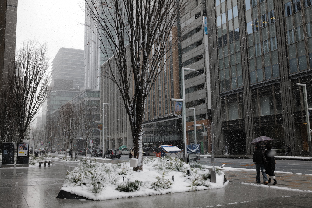 立春を過ぎても