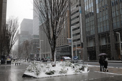 立春を過ぎても