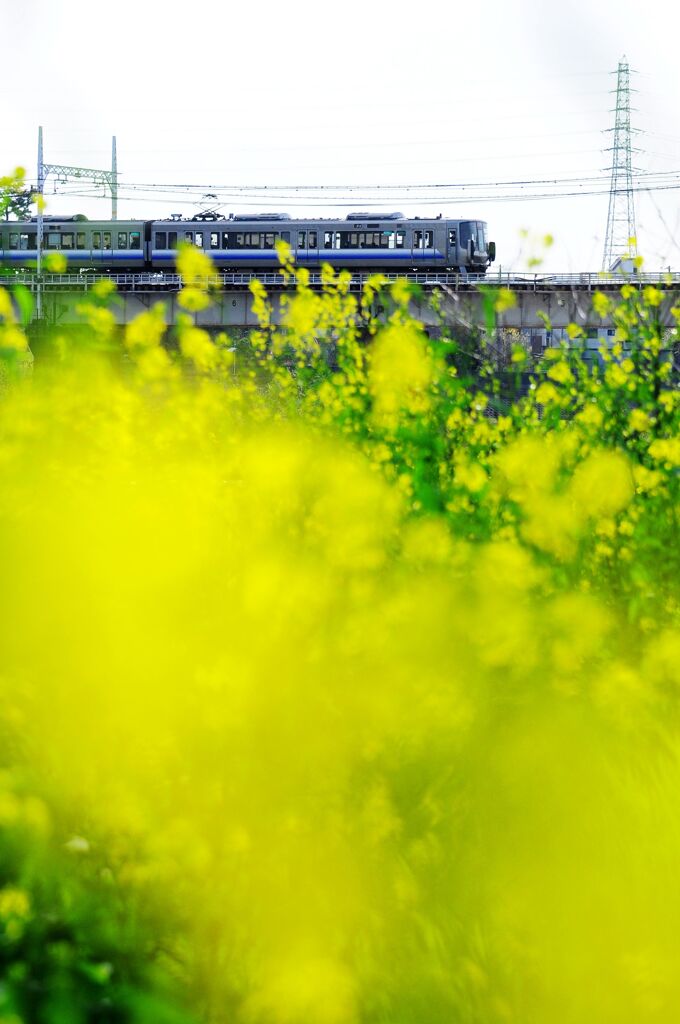 電車通過