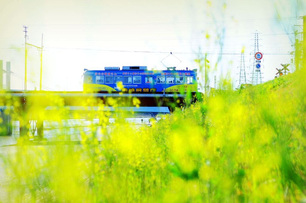 昭和レトロ阪堺電車