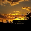 電車と夕日