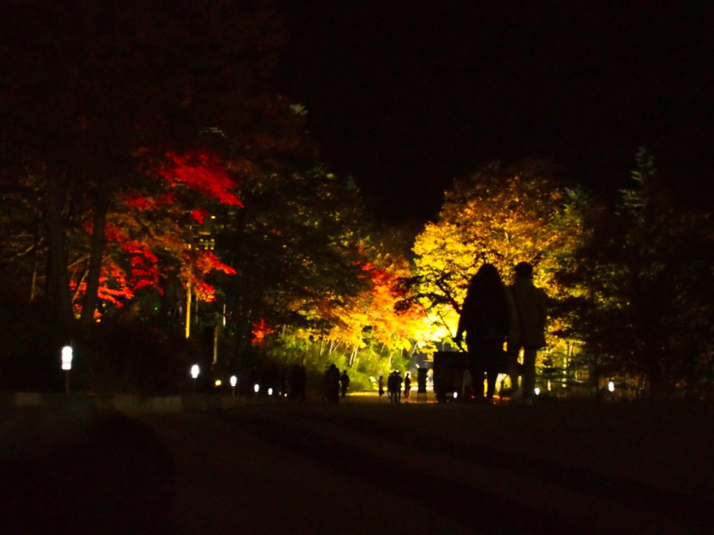 Silhouetto 〜夜の紅葉〜