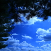 松と空
