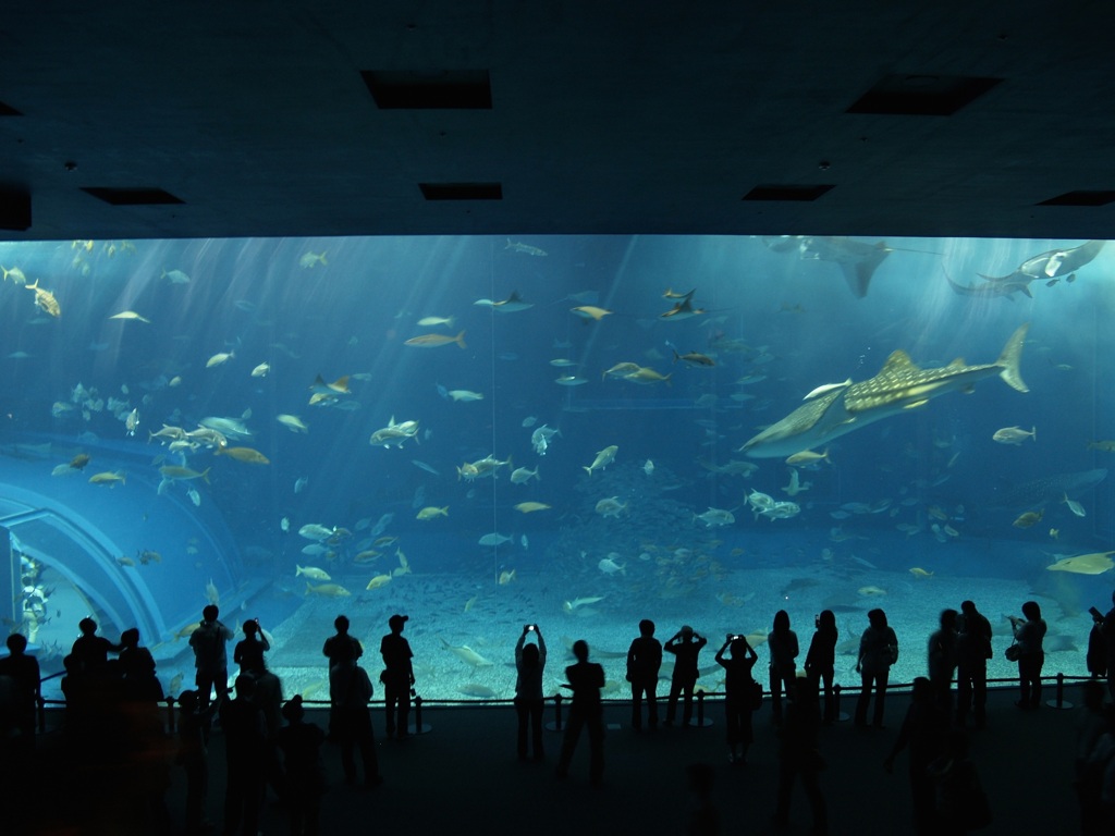 水族館