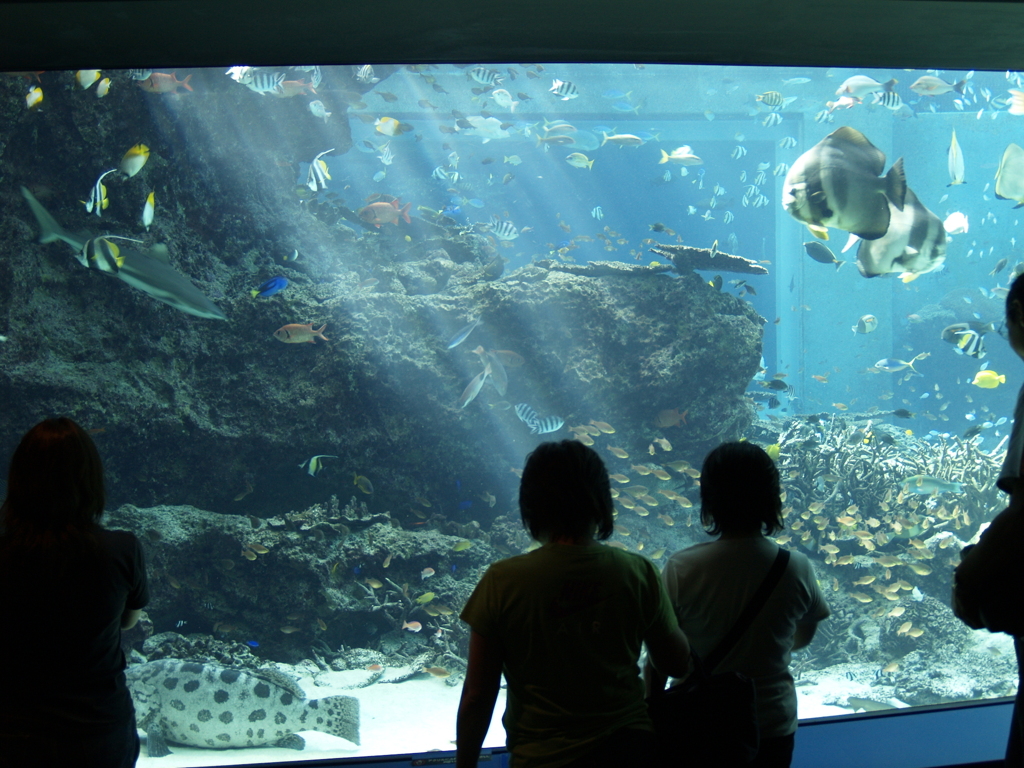 水族館