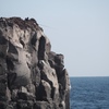 釣り