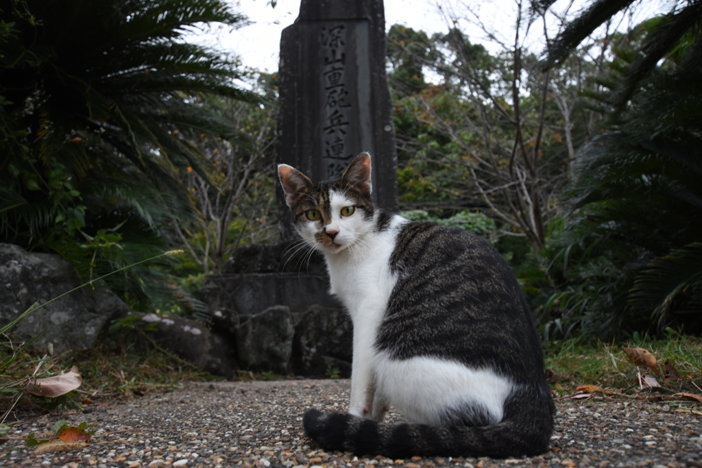 こっち、向いてくれた・・・