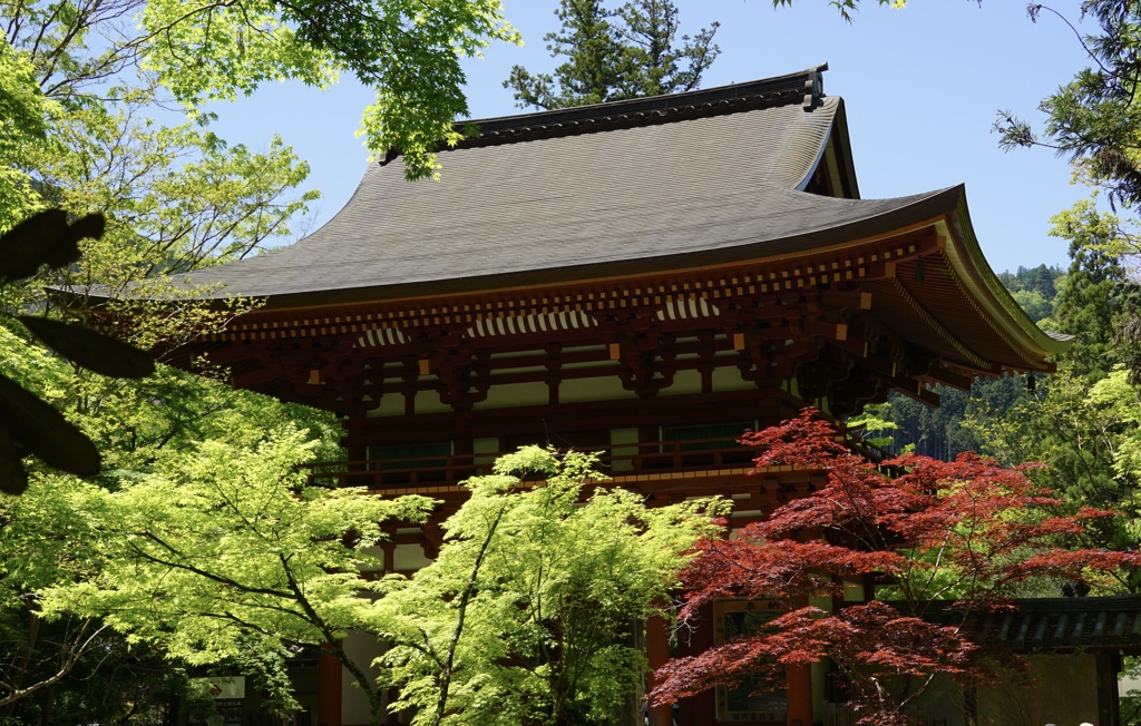 室生寺 仁王門