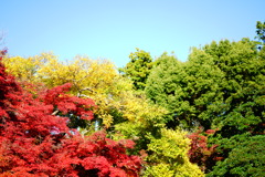 信号機のように･･･