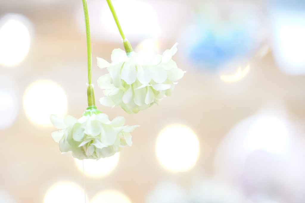 涼しげに‥