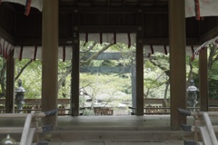 金崎宮