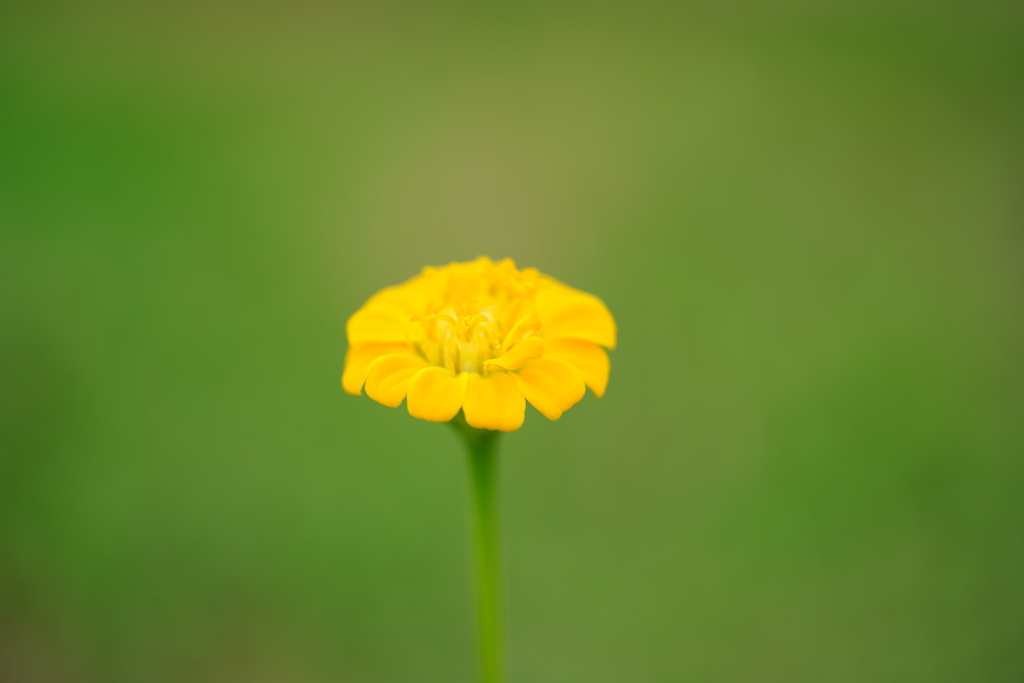 久しぶりに投稿