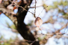 落ちてたまるか