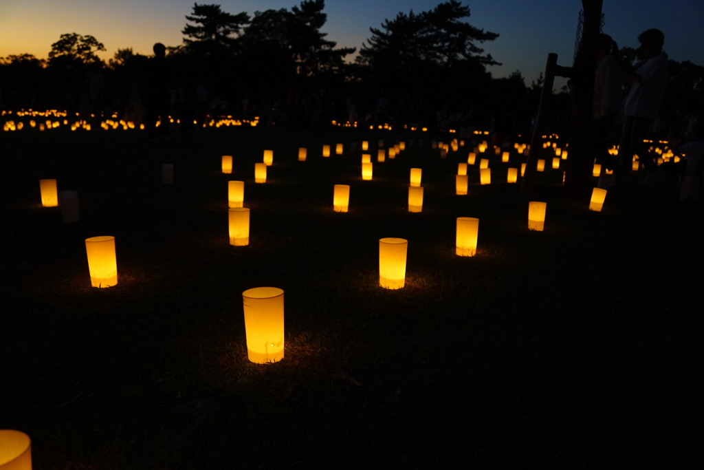 なら燈花会2024