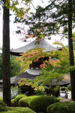 多宝塔と紅葉