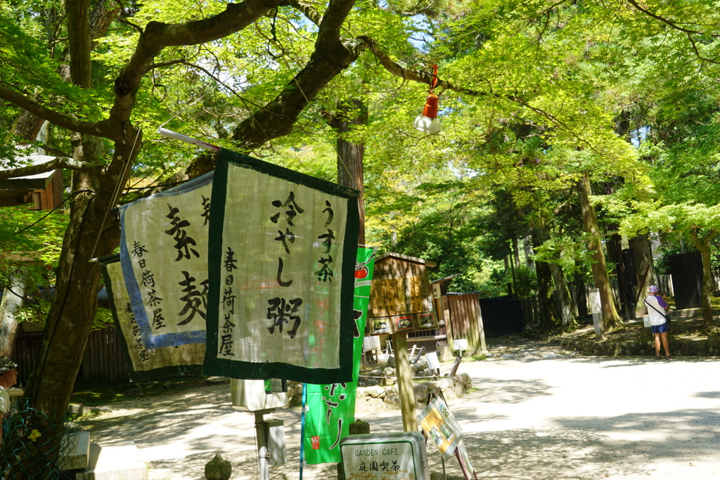 夏の風景