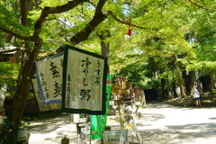 夏の風景