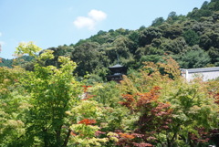 永観堂③