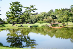 名勝旧大乗院庭園