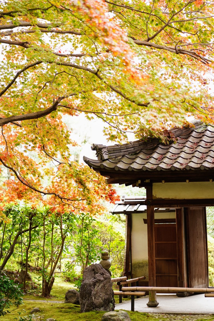 紅葉狩り②