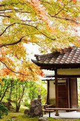 紅葉狩り②