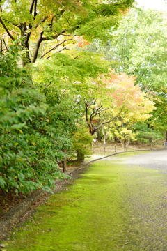 宇治市植物公園①