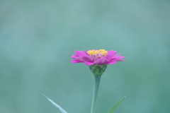 自宅にて・・