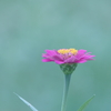 自宅にて・・