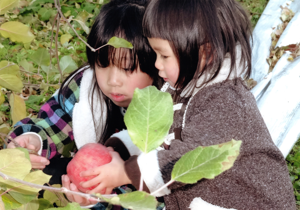 第17回伍和の里フォトコンテスト銀賞　『りんごがとれた』