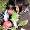 第17回伍和の里フォトコンテスト銀賞　『りんごがとれた』
