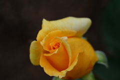 DSC06169