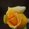 DSC06169