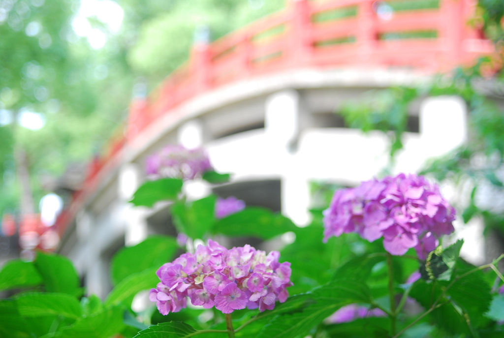太宰府天満宮