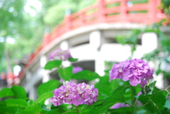 太宰府天満宮