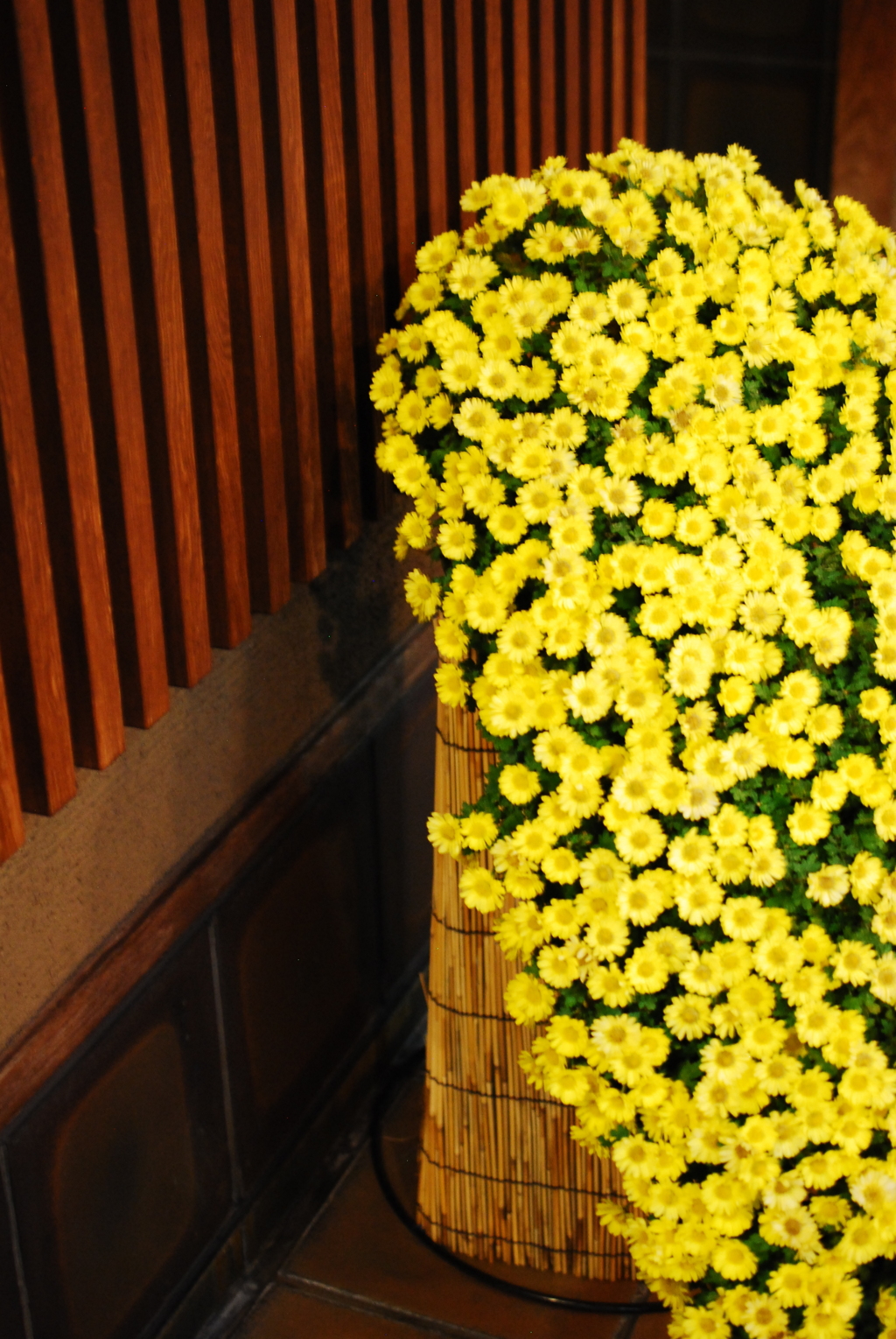 京の花