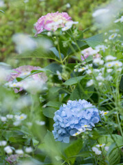 ６月