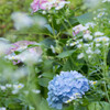 ６月