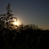 夕暮れ
