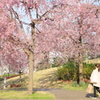 春