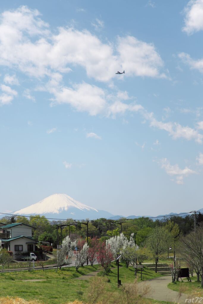 風景